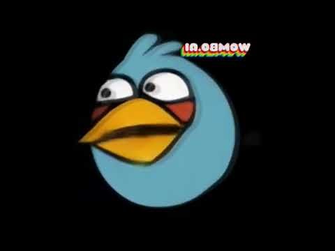 All Preview 2 Angry Birds Deepfakes (EXTENDED/IMPROVED)