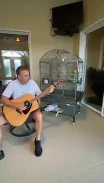 Parrot sing Led Zeppelin