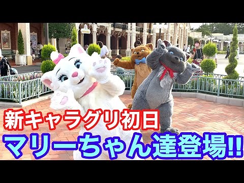 【本日初日】マリーちゃん達がグリーティング【ディズニーランド】