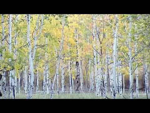 Time Passes Slowly (Bob Dylan) Michael Dallas