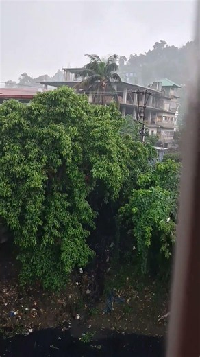raindrops beauty #nature #naturelovers #rainsounds