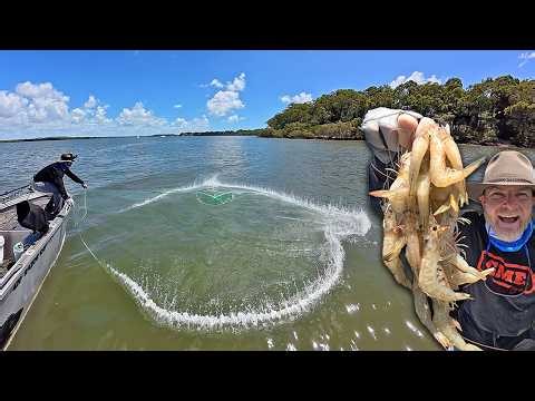 The PRAWNS are ON! | Catch & Cook Up on the Boat!