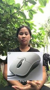 5 parts of computer and their functions