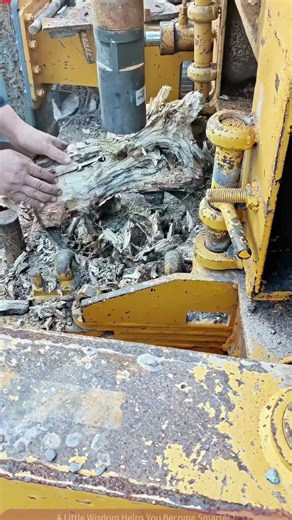 Full Breakdown of Ripper Chopping Wood: From Cutting to Shattering!