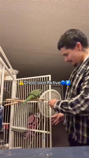 Junior🦜 on Instagram: "Lil loco is back at it 🙄🔵🅿️"