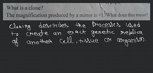 What is a clone?The magnification produced by a mirror is  1 .... | Filo