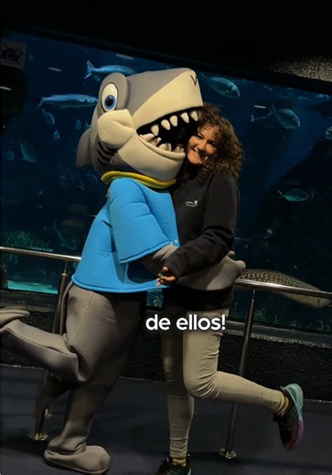 🦈 Els taurons són més fascinants del que t’imagines!🦈 Si ets un Shark Lover, no et pots perdre els taurons del NOU Aquàrium de Barcelona! Quan els coneixes, és impossible no enamorar-se’n ❤️ #SharkLovers #AmorPelMar - 🦈 ¡Los tiburones son más fascinantes de lo que imaginas! 🦈 Si eres un Shark Lover, no te puedes perder a los tiburones del NUEVO Aquàrium de Barcelona. Cuando los conoces, ¡es imposible no enamorarse! ❤️ #SharkLovers #AmorPorElMar - 🦈 Sharks are more fascinating than you can i