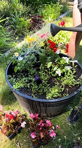 The only garden hack you need! | Homestead Delight