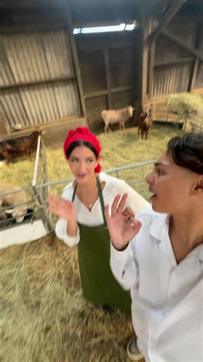 Arabisch lernen: Schnell und einfach für Anfänger