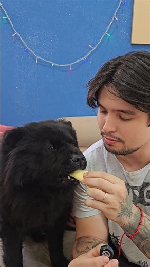 O VIDEO ACABA QUANDO ELA GOSTAR DE ALGUMA COISA 💜🐶 EP:4 #comida #funny #shorts