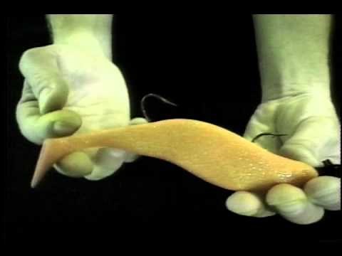 Secret Strategies: Deep Water Jigging For Pike & Musky