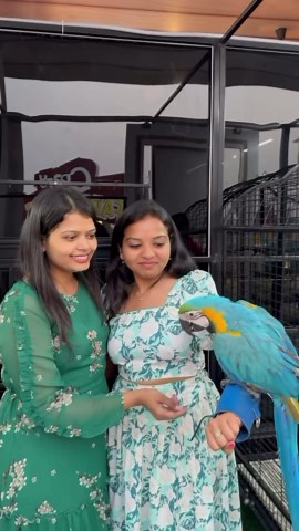 Food Blogger 🥂 on Instagram: "Biggest Farm park in Hyderabad for Kids @daisydalefarmpark.official 📍Shankarpalli ⏱️ Timings- 10:00 Am to 10:00 PM 🎟️ Entree fee- Adults-600/ & Kids- 550/- Note : 🚨 Rides are having separate costs . ‼️Tuesdays are Closed ‼️ #daisydalefarmpark #daisydalefarmpartandresort #minidisneyland #hyderabadfoodblogger_ #foodblogger #reels #instagram #bornoninstagram #eatsby_vinni"