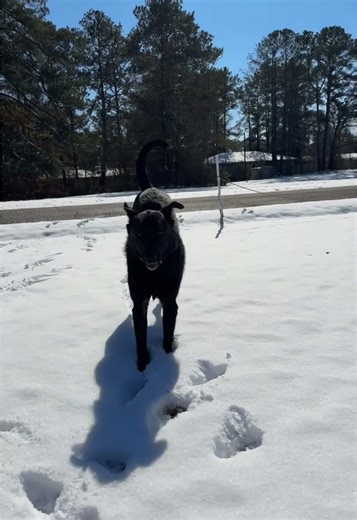 Anna Johnston: Updates on Her Journey and Family Life