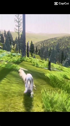 Don’t mind that I ran into a tree at the end. #fyp