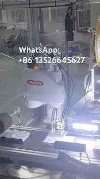 Automatic Robot Labeling Machine For Box Feeding Labeling & Visual Detection & Rejection & Stacking