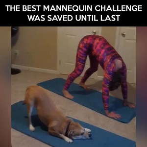 The best mannequin challenge was saved until last Credit: www.facebook.com/greg.baskwell | LOLKidz