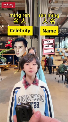 Exploring Chinese Magic: Reversible Words in Language