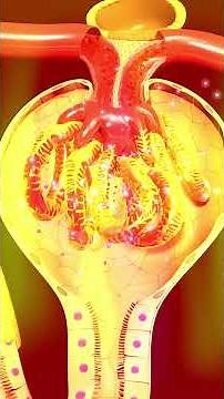 One Number Panicked You? Here's Why Creatinine Alone Is NOT Important | Dr Srikanth Gundlapalli