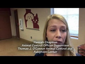 Mass. Animal Control Officers of the Year award goes to Thomas J. O'Connor Center in Springfield