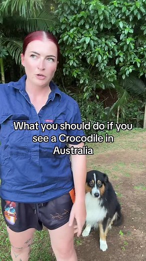 Crocodile Safety Tips: What to Do If You Encounter a Croc in Australia