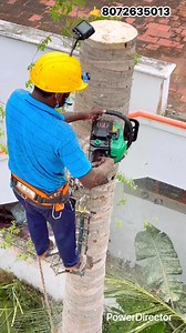 2.3K reactions · 84 shares | Tree cutter service pattukkottai sabariraja 8072635013 | Sabariraja M | Facebook