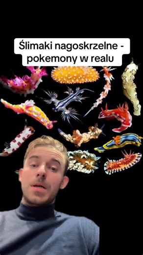 #greenscreenvideo #dnodna