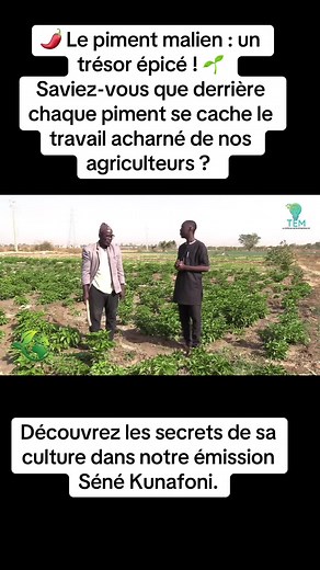 Télé Entrepreneuriat Monde sur TikTok