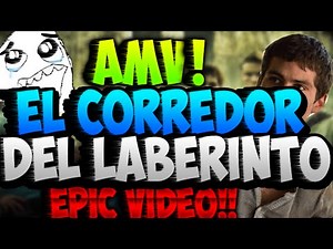 El Corredor del Laberinto (The Maze runner) AMV!! (Sub español) 2016
