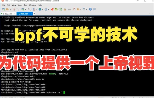 bpf不可学的技术，为代码提供一个上帝视野 |网络探测 bpf实现；内存管理 malloc/free，bpf来处理；文件系统读写操作，bpf；bpf探测线程