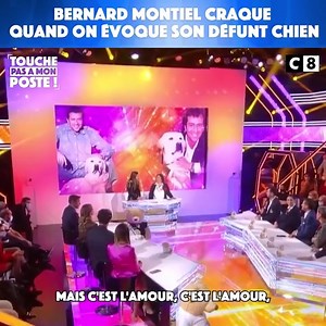 487K views · 10K reactions | Mon Bernard est plein d'émotions lorsqu'on a parlé de son chien  | Cyril Hanouna | Facebook