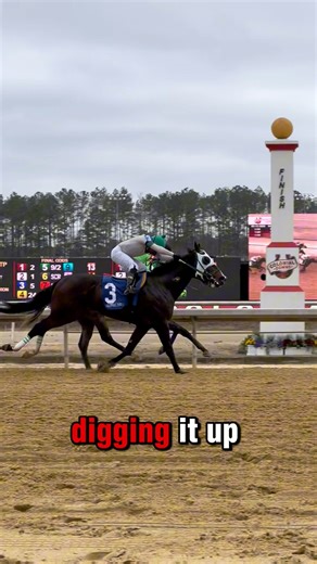 Colonial Downs is best known for its massive turf course, but the track’s dirt oval has undergone a major evolution to host Saturday’s Virginia Derby and Virginia Oaks. Jill Byrne shares with us what goes into making the dirt surface at Colonial Downs one of the safest in the country. | Paulick Report