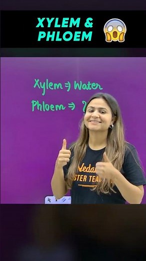 Xylem & Phloem Made SUPER Easy 🤯 | Class 9 CBSE Biology🔥#science #cbse