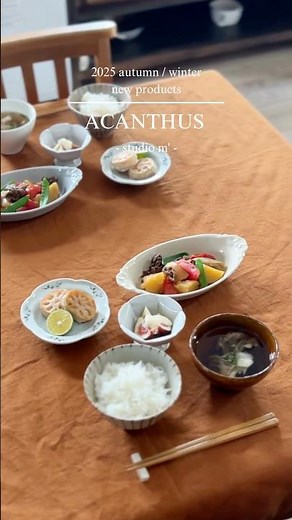 2025秋冬新商品：アカンサス #tableware #マルミツポテリ #スタジオエム