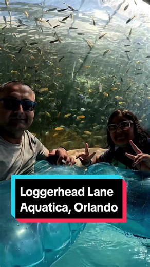 Take a load off your feet and hop on a lazy river ride down Loggerhead Lane. This leisurely raft ride takes you through an underwater world colored by exotic tropical fish. #lazyriver #aquatica #orlando #roadtrip #florida #themepark #seaworld #fish