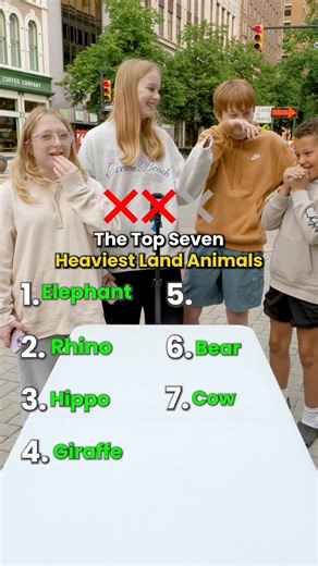 Name Top 7 HEAVIEST Land Animals | Extra Medium Stuff