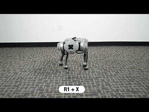 Getting Started with Go1 - Begging, Roll Over