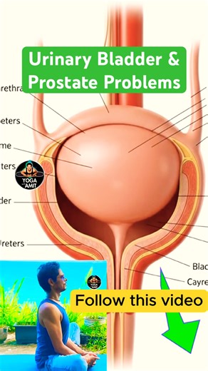 Yoga for Prostate Health | Best Home Exercises for Men Over 50 #prostatehealth