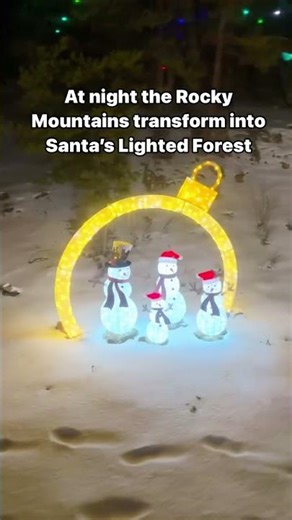 🎄🚂Festive Colorado train ride? Sign us up! Taking a ride on the Georgetown Loop Train at night