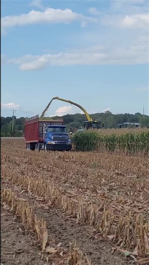 9.8K views · 280 reactions | Day 1 of chopping corn is done. Smells great out there  | Dettmann Dairy Farms | Facebook
