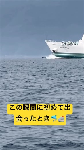 イルカが船の船首のすぐ近くを泳ぐのはなぜかご存知ですか？