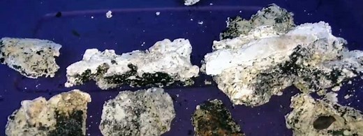 Cement Like Stuff In Shower Drain: What Is It And How To Get Rid of It?