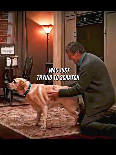 🚨💣 BERITA TERKINI: Neymar MASUK dalam daftar pemain yang akan dipanggil ke timnas Brasil oleh Carlo Ancelotti. 🇧🇷😳 Ancelotti akan terbang ke Brasil besok untuk menyaksikan Neymar secara langsung saat menghadapi Mirassol. Ini bisa jadi kesempatan besarnya untuk kembali ke tim nasional. Neymar Is Back? 🤩👀 //. #neymarjr #santos #brazil #fyp