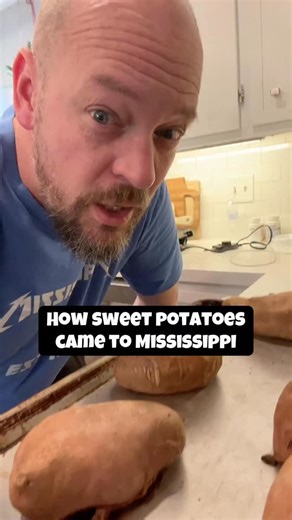 Ever wonder how sweet potatoes came to Mississippi? Just me? Well, the answer was more fascinating than I anticipated. Here’s how this orange root is further proof that intercontinental travel existed generations before Columbus was even born. | Brett Kenyon