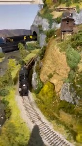 “I have been model railroading for 2 years now. I got turned onto SoundTraxx at a local train show. I've fried a few decoders from inexperience and sent them back. Your warranty has saved me a ton of money, and customer service is second to none! I have done one of my most tedious installs on a Bachmann 3 truck Shay using Tsunami2, steam-2, TSU-21PNEM8 and two Mini Cube oval speakers. The model was almost completely disassembled so I could rewire everything from front to back and also add new le