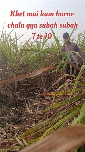 yah mai kaya🤫 kar raha hu 😊🫡#mini vlogs #viral#motivation# trending #ssccgl #shorts#shortsvlog