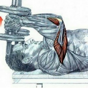 2.4K views · 33 reactions | Triceps, ¿estos ejercicios los implementas en tus rutinas? Los ejercicios básicos demuestran ser los más efectivos, no inventes lo que ya está inventado. #Motivate  | Motivación Gym | Facebook