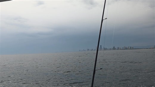 Craig Harding on Reels