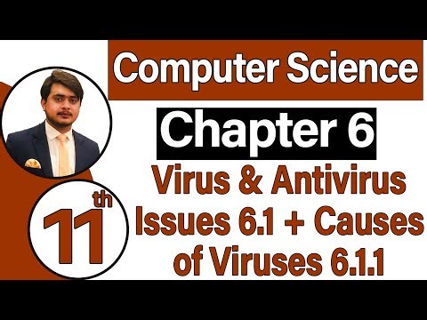 11th Class Computer Science Chapter 6 - Virus & Antivirus issues (6.1) + Causes of Viruses (6.1.1)