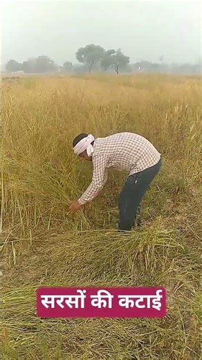 #rap #music #freestyle #hiphop #newmusic #dilipacademy04