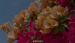 José Madero.- La dama y el vagabundo | Canciones Para Recordar